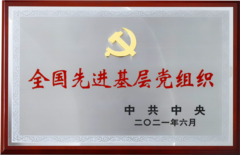 全國(guó)先進(jìn)基層黨組織